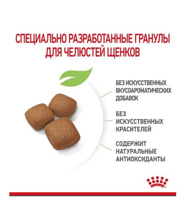 ROYAL CANIN Giant Junior for puppies from 8 months. giant breeds 3.5 kg - Buy Online on GoSupps.com