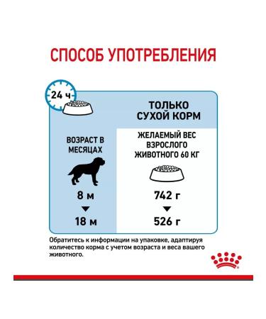 ROYAL CANIN Giant Junior for puppies from 8 months. giant breeds 3.5 kg - Buy Online on GoSupps.com