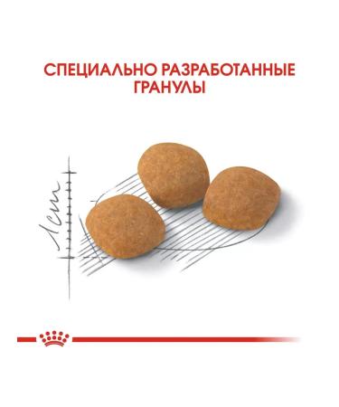 ROYAL CANIN Feed for cats who are fastidious to the composition Protein Exigent 4 kg - Buy Online on GoSupps.com