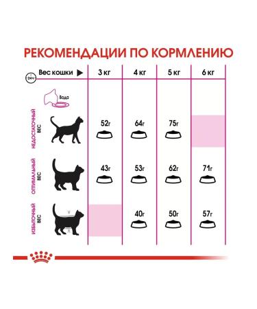 ROYAL CANIN Feed for cats who are fastidious to the composition Protein Exigent 4 kg - Buy Online on GoSupps.com