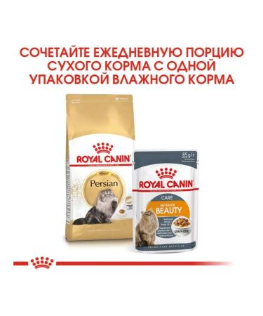 ROYAL CANIN Persian Adult 4 kg food - Buy Online on GoSupps.com