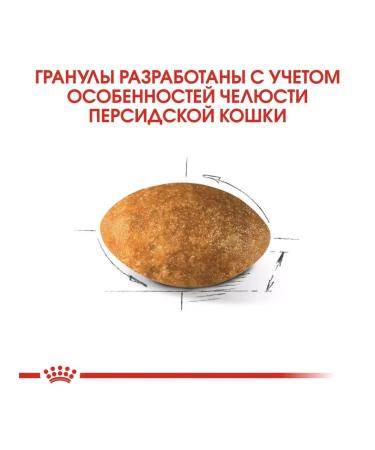 ROYAL CANIN Persian Adult 4 kg food - Buy Online on GoSupps.com