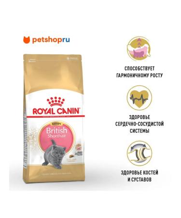 ROYAL CANIN British Shorthair Kitten food for British kittens 2kg