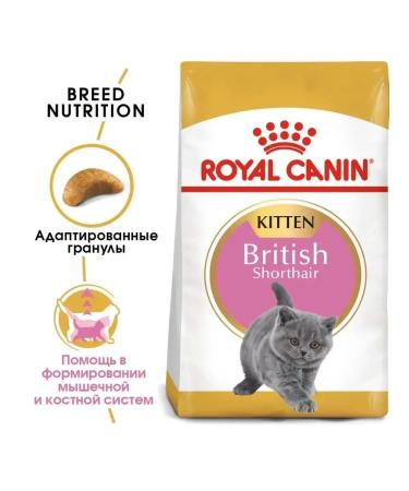 ROYAL CANIN British Shorthair Kitten food for British kittens 2kg - Buy Online on GoSupps.com