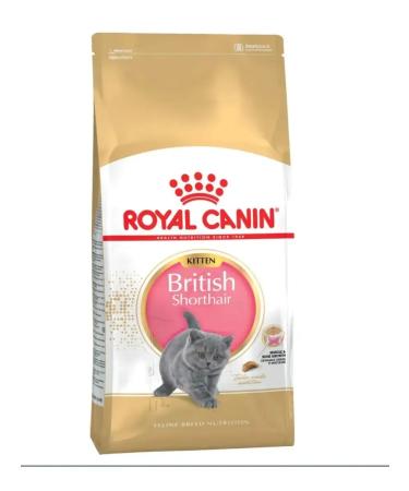 ROYAL CANIN British Shorthair Kitten food for British kittens 2kg - Buy Online on GoSupps.com