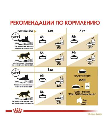 ROYAL CANIN Feed for Siberian cats from 1g. Siberian Adult 2 kg - Buy Online on GoSupps.com