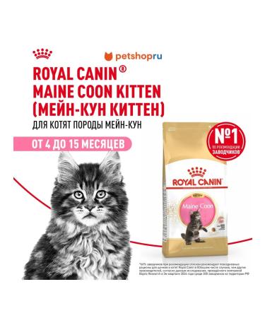 ROYAL CANIN Main Coon Kitten Dry food for kittens of the Maine Kun breeds 0.4kg