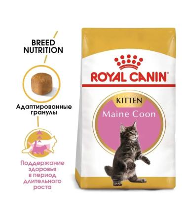 ROYAL CANIN Main Coon Kitten Dry food for kittens of the Maine Kun breeds 0.4kg - Buy Online on GoSupps.com