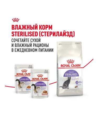 ROYAL CANIN Adult feed sterilized cats Sterilized 37 10 kg - Buy Online on GoSupps.com