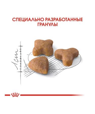 ROYAL CANIN Feed for cats with feelings. digestion Sensible 33 2kg - Buy Online on GoSupps.com