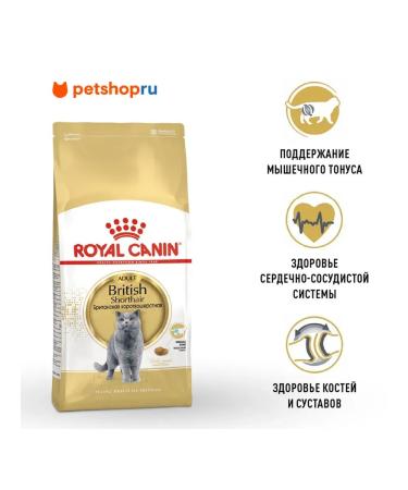 ROYAL CANIN British shorthair adult for British cats 4 kg