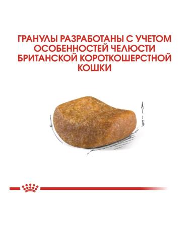 ROYAL CANIN British shorthair adult for British cats 4 kg - Buy Online on GoSupps.com