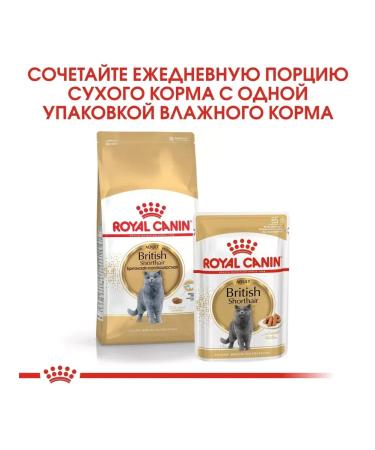 ROYAL CANIN British shorthair adult for British cats 4 kg - Buy Online on GoSupps.com