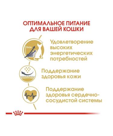 ROYAL CANIN Dry food for sphinx cats from 12 months SPhynx Adult 2 kg - Buy Online on GoSupps.com