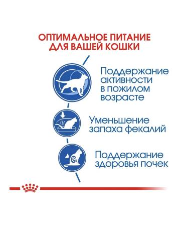 ROYAL CANIN Dry food for aging domestic cats Indoor 7+ 1.5 kg - Buy Online on GoSupps.com