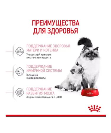 ROYAL CANIN Dry food for kittens and pregnant. Koshka Mother & Babycat 2kg - Buy Online on GoSupps.com