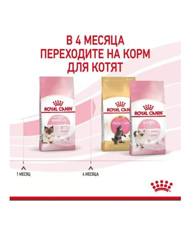ROYAL CANIN Dry food for kittens and pregnant. Koshka Mother & Babycat 2kg - Buy Online on GoSupps.com