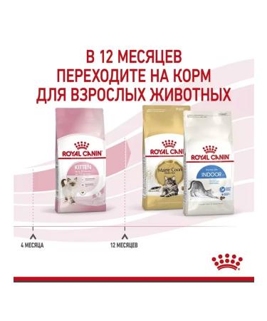 ROYAL CANIN Dry food for kittens from 4-12 months Kitten 4 kg - Buy Online on GoSupps.com