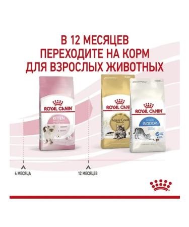 ROYAL CANIN Dry food for kittens from 4-12 months Kitten 2 kg - Buy Online on GoSupps.com