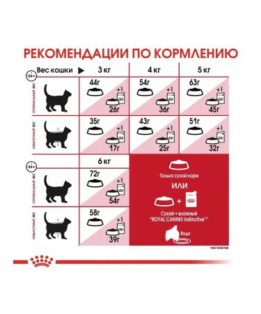 ROYAL CANIN Feed for moderately active cats from 1 year Fit 32 2 kg - Buy Online on GoSupps.com