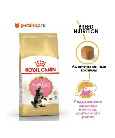 ROYAL CANIN Main Coon Kitten Dry food for kittens of the Maine Kun breeds 2kg