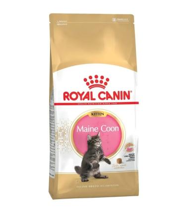 ROYAL CANIN Main Coon Kitten Dry food for kittens of the Maine Kun breeds 2kg - Buy Online on GoSupps.com