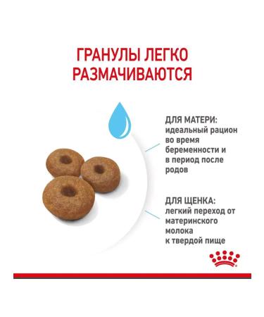 ROYAL CANIN Dry food for large puppies up to 2 months Maxi Starter 4 kg - Buy Online on GoSupps.com