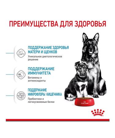 ROYAL CANIN Dry food for large puppies up to 2 months Maxi Starter 4 kg - Buy Online on GoSupps.com