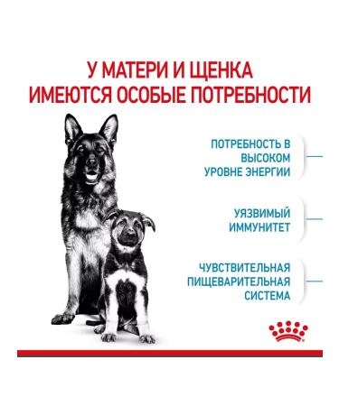 ROYAL CANIN Dry food for large puppies up to 2 months Maxi Starter 4 kg - Buy Online on GoSupps.com