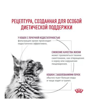 ROYAL CANIN Renal food for adult cats to maintain kidneys 4 kg - Buy Online on GoSupps.com
