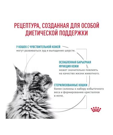 ROYAL CANIN Feed for castrated cats for the skin Skin & Coat 1.5kg - Buy Online on GoSupps.com