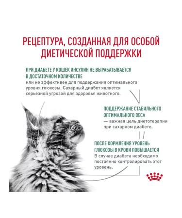 ROYAL CANIN Diabetic diabetes diabetes food 1.5 kg diabetes - Buy Online on GoSupps.com