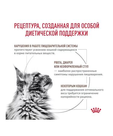 ROYAL CANIN Cat food GastroinTestinal Moderate Calorie 2 kg - Buy Online on GoSupps.com