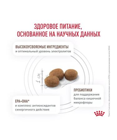 ROYAL CANIN Cat food GastroinTestinal Moderate Calorie 2 kg - Buy Online on GoSupps.com