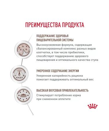 ROYAL CANIN Cat food GastroinTestinal Moderate Calorie 2 kg - Buy Online on GoSupps.com