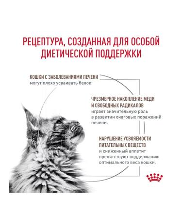 ROYAL CANIN Hepatic food for cats liver disease 2 kg - Buy Online on GoSupps.com