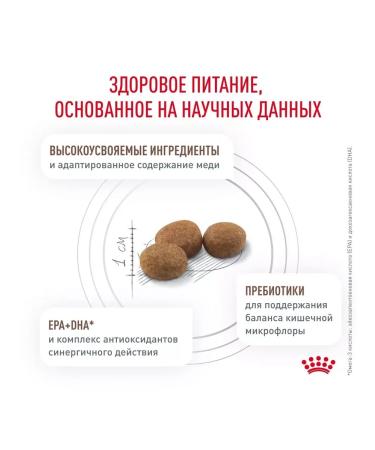 ROYAL CANIN Hepatic food for cats liver disease 2 kg - Buy Online on GoSupps.com