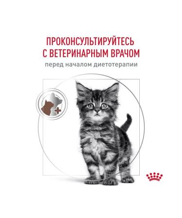 ROYAL CANIN Dry food for kittens Gastrointestinal Kitten 2 kg - Buy Online on GoSupps.com