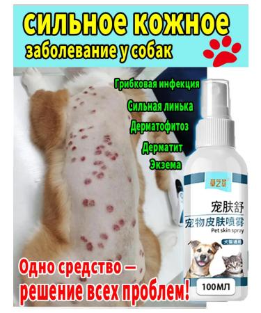 Dermatitis spray in dogs 100ml