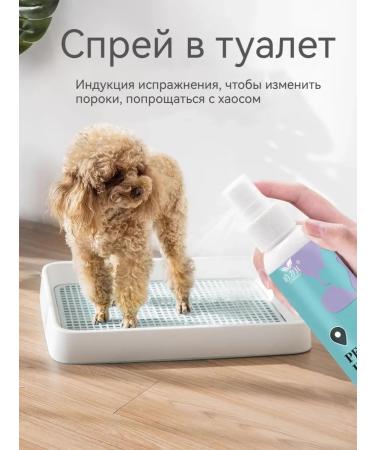 Spray for teaching to a toilet for cats and dogs 120 ml - Buy Online on GoSupps.com