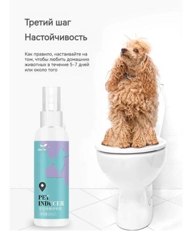 Spray for teaching to a toilet for cats and dogs 120 ml - Buy Online on GoSupps.com