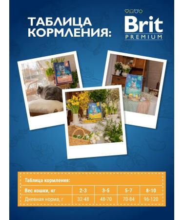 Brit Feed for sterilized adult cats duck-smoke 2k - Buy Online on GoSupps.com