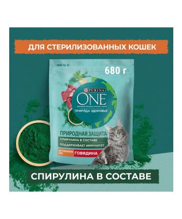 Purina Dry Feed One Nature of Health with Beef for Sterior - Buy Online on GoSupps.com