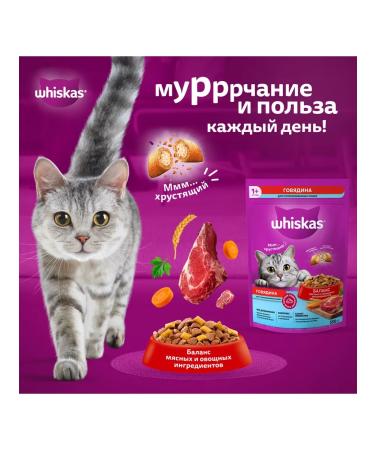 WHISKAS Dry food delicious cushions with beef for sterile - Buy Online on GoSupps.com