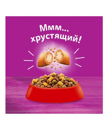 WHISKAS Dry food delicious pads with delicate paste appet - Buy Online on GoSupps.com