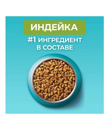 Purina Dry Feed One with turkey-like turkeys for domestic cats - Buy Online on GoSupps.com