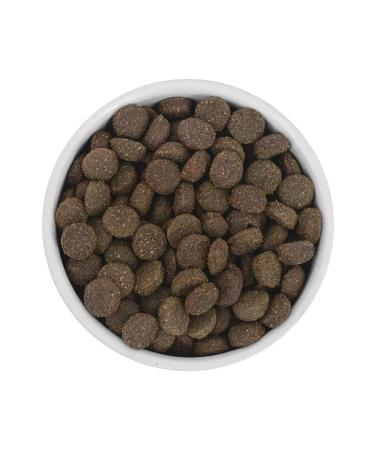 SAVITA Bezernary food for dogs with a wild boar 10 kg - Buy Online on GoSupps.com