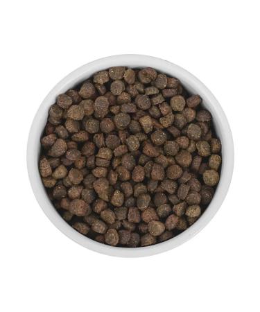 SAVITA Bezernary feed for dogs of small breeds with a wild boar 1 kg - Buy Online on GoSupps.com