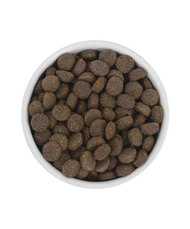 SAVITA Bezernary food for dogs with moose meat 10 kg - Buy Online on GoSupps.com