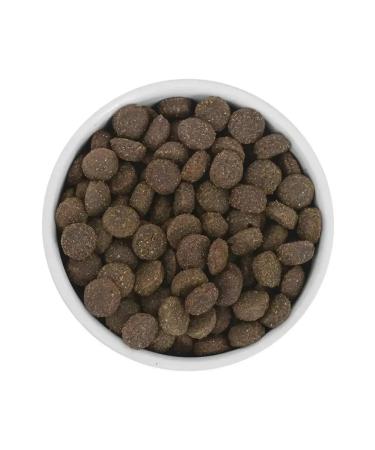 SAVITA Bezernary feed for dogs with venison 10 kg - Buy Online on GoSupps.com